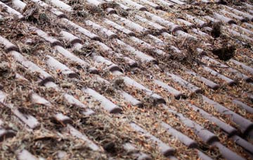 Bowd roof cleaning companies